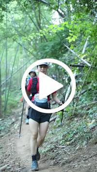 BIB:  <button type="button" onclick="openModal(28039860)" class="btn btn-primary btn-sm float-right" data-toggle="modal" data-target=".modal-high-quality">
                <i class="fa fa-download"></i> Download
                </button>